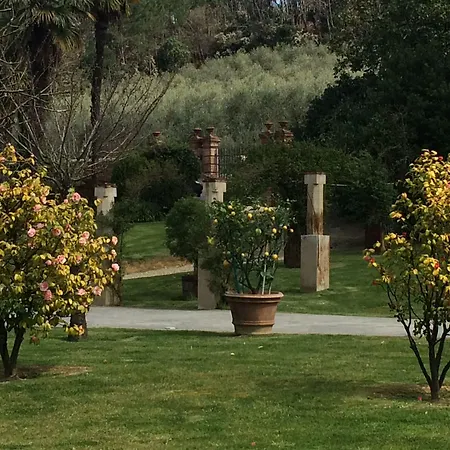 Hotel Marta Lucca